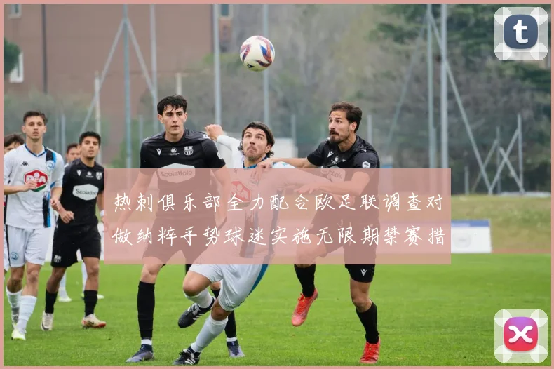 热刺俱乐部全力配合欧足联调查对做纳粹手势球迷实施无限期禁赛措施
