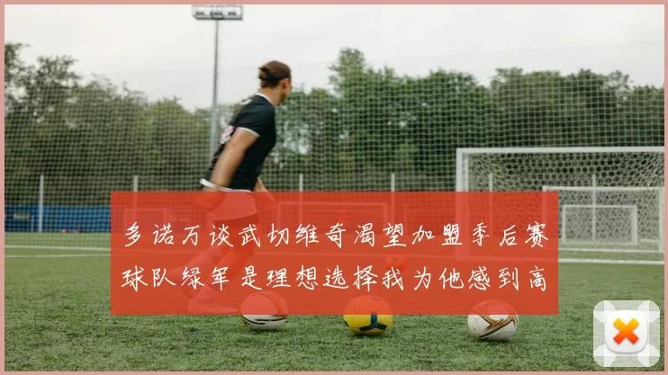 多诺万谈武切维奇渴望加盟季后赛球队绿军是理想选择我为他感到高兴